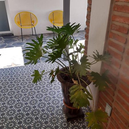 Estudio #5 Casa Fatima, 8 Min Del Centro 1 Persona Guadalajara Exterior foto