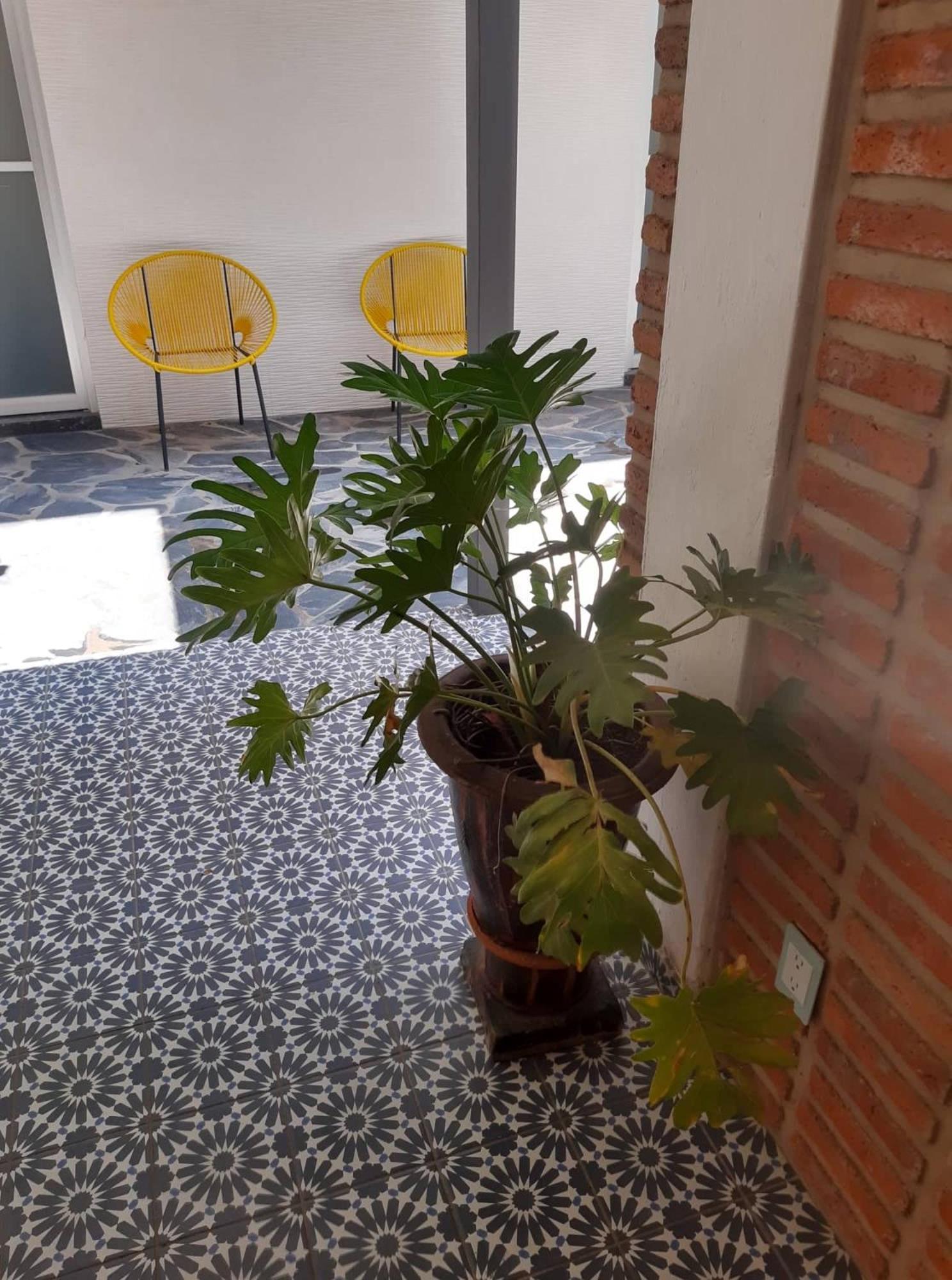 Estudio #5 Casa Fatima, 8 Min Del Centro 1 Persona Guadalajara Exterior foto